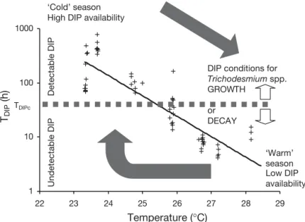 Fig. 2. Dissolved inorganic phosphate turnover times (T DIP ) versus tem- tem-perature measured in the mixed layer during Diapalis Cruises 1 to 6 in the SW Pacific Ocean near New Caledonia