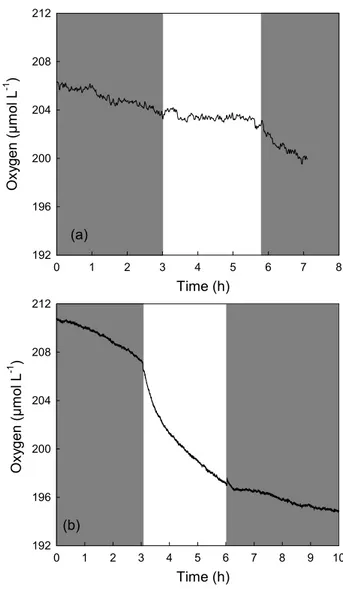 Fig. 2. Oxygen concentration during dark and light incubation in duplicate. Sample was collected in Anse Vata on 29 June 2005.