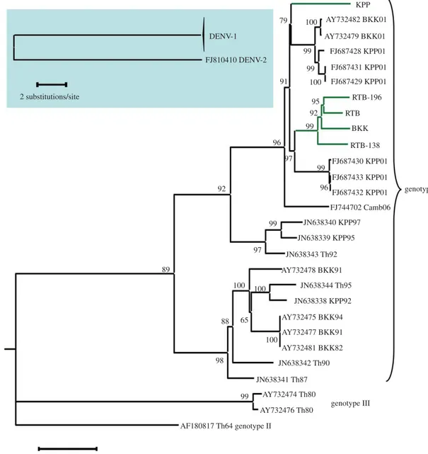 Figure 2. Phylogenetic relationships among DENV-1 isolates used in this study. Background genomic sequences retrieved from GenBank are labelled with their accession number followed by an indication of their geographical origin (Camb, Th, BKK and KPP stand 