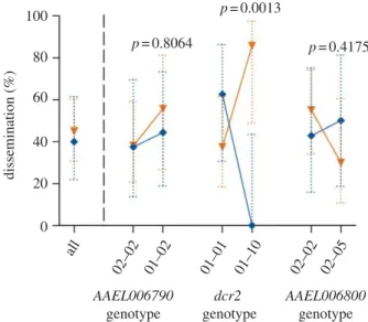 Figure 3. Isolate- and locus-specific association between viral dissemination and dcr2 genotype in the outbred mosquito population