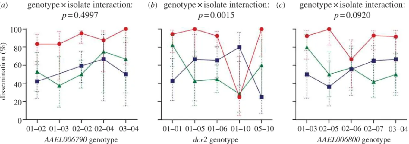 Figure 4. Isolate- and locus-specific association between viral dissemination and dcr2 genotype in the mosquito families