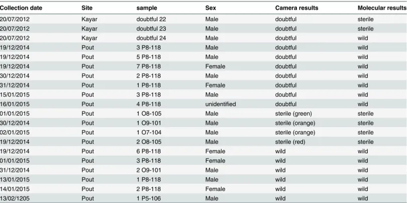 Table 3. Results from visual identification of sterile and wild flies using a UV camera and the molecular method that is based on the sequence of the COI gene.