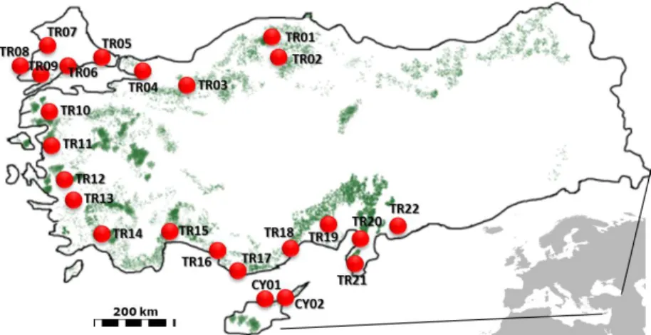 Figure 1. Map of sampling locations and coniferous forests in Turkey and Cyprus  (forest data is from EC-JRC Forest Map, 2006).