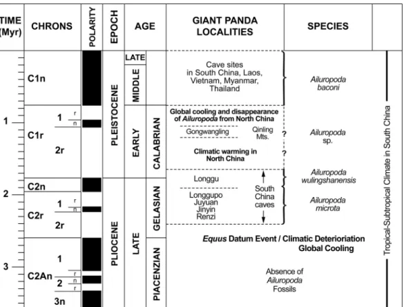Fig. 5. Late Cenozoic temporal distribution of species of the giant panda Ailuropoda in southeastern Asia (9, 14, 16, 17, 21, 30 –32); time scale (33).