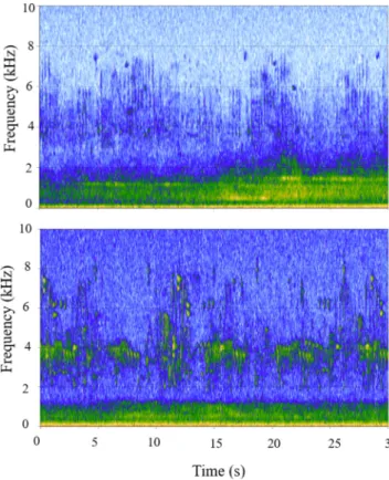 Fig. 6. Two spectrograms of 30-s soundscape recordings at 0600 h from July 1 st 2012 in the LPIIBA