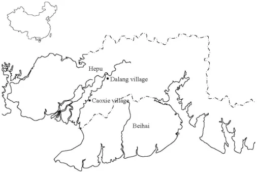 Figure 1  Location of Caoxie village site in Hepu County. The figure also shows the location of Hepu county in southern China