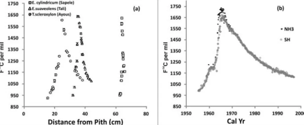 Figure 3  a) Radiocarbon F 14 C values of tree rings as a function of distance from pith in the bomb-spike years for sapele, tali, and ayous