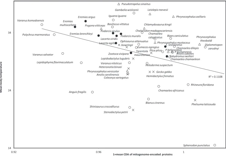 Fig. 4. Lepidosaurian body temperature as a function of mean codon directional asymmetry of codons in protein coding genes encoded by complete mitogenomes available in GenBank.