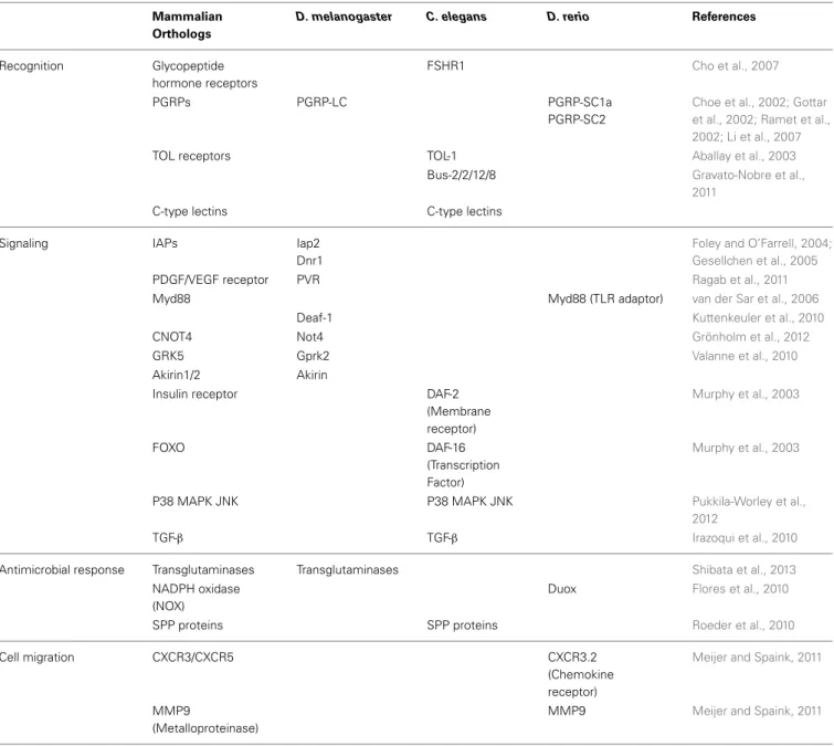 Table 1 | Discoveries in D. melanogaster, C. elegans and D. rerio using RNAi and the homology of the identified genes in mammals.