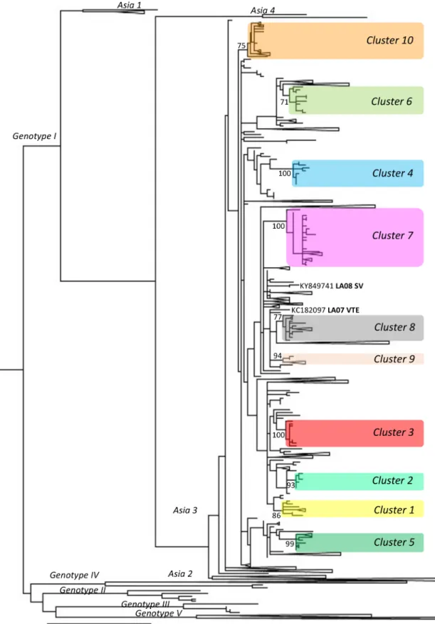 Fig 4. Positions of the 10 clusters containing Lao strains on phylogenetic tree built with DENV-1 envelop sequences
