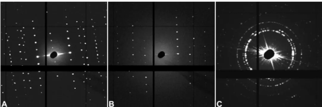 Fig. 3. X-ray diffraction analysis of protein crystals comprising the axial filaments of demosponge spicules