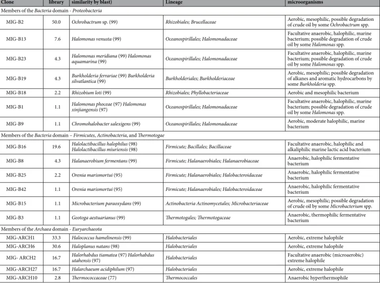 Table 1.   Diversity of Archaea and Bacteria retrieved in the core by 16S rRNA gene surveys