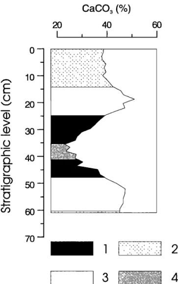 Figure 2.  Stratigraphic  column of carbonate  cycle 101/102: 