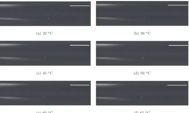 Fig. 14. Evolution of the droplets/particles during the MMA/VCM copolymerization. Experiment E6