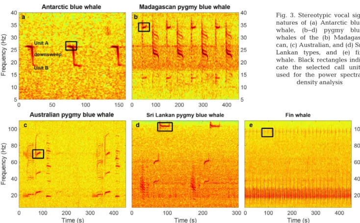 Fig. 3. Stereotypic vocal sig- sig-natures of (a) Antarctic blue whale, (b−d) pygmy blue whales of the (b)  Madagas-can, (c) Australian, and (d) Sri Lankan types, and (e) fin whale