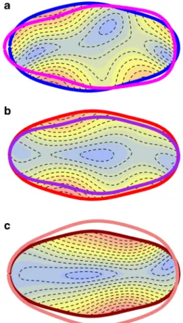 Fig. 4 Amplified (× 2) isometric thin plate splines comparing mean grain shape for different barley groups.