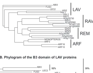 Fig. 1. Proteins possessing a B3 DNA binding domain in Arabidopsis.