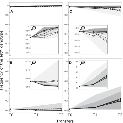 Figure 4. Polymorphism protection. All panels show the dynamics of the frequency of the Tet R genotype over successive transfers in Experiment 2