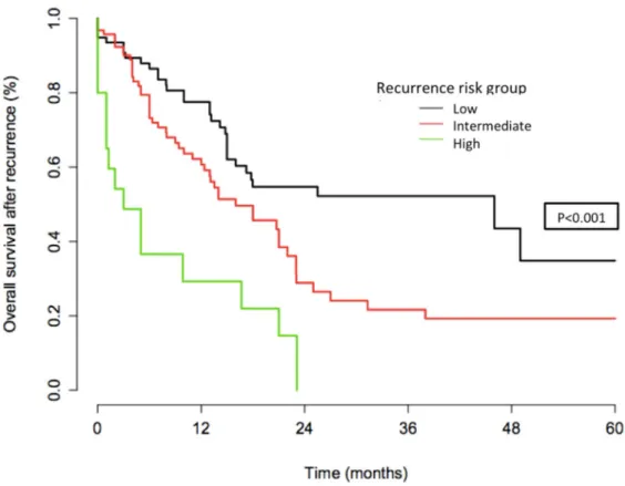 Figure 4. Overall survival after recurrence according to recurrence risk group.