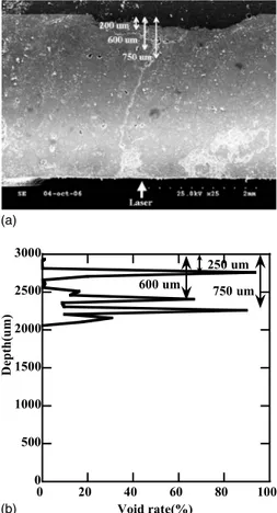 FIG. 7. 共 a 兲 Image by SEM of a cross section of 3000 ␮ m basalt foil at laser power density of 1.27 ⫾ 0.13 GW / cm 2 ; 共 b 兲 corresponding rate of void,  cal-culated using SHYLAC software at time of 700 ns from the irradiation of 1.27 ⫾ 0.13 GW / cm 2 共 p