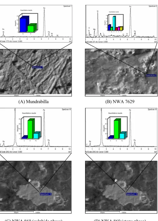 Fig. 5. SEM photomicrograph accompanied with the results of the EDX analysis for  the studied meteorites indicates the octahedral structure of Mundrabilla and the iron  silicate composition of the chondrites