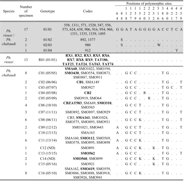 Table 3. Base variability in EF-1 a genotypes. On a grey background: four alleles found by Tabbabi et al