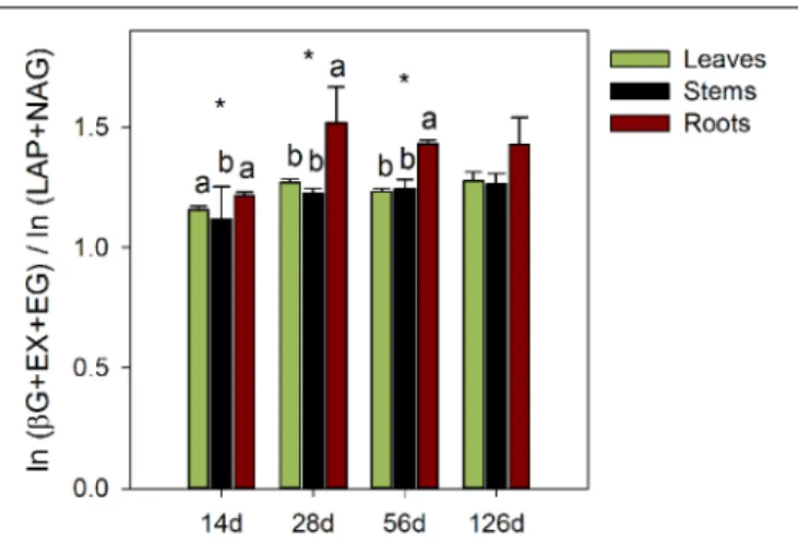 FIGURE 5 | Ratio of the enzymatic C to N acquisition activities during the decomposition of maize leaf, stem and root litters by