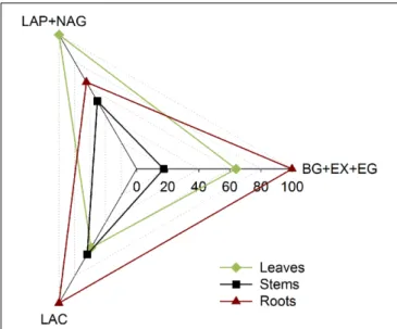 FIGURE 4 | Relative synthesis of the cumulative enzyme activities per unit of fungal C characterizing the investment of P