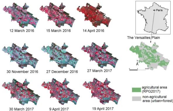 Figure 1. Agricultural area of the Versailles Plain and infrared colored images (RGB = B8, B4 and B3)  of the Sentinel-2 time series gathered for this study