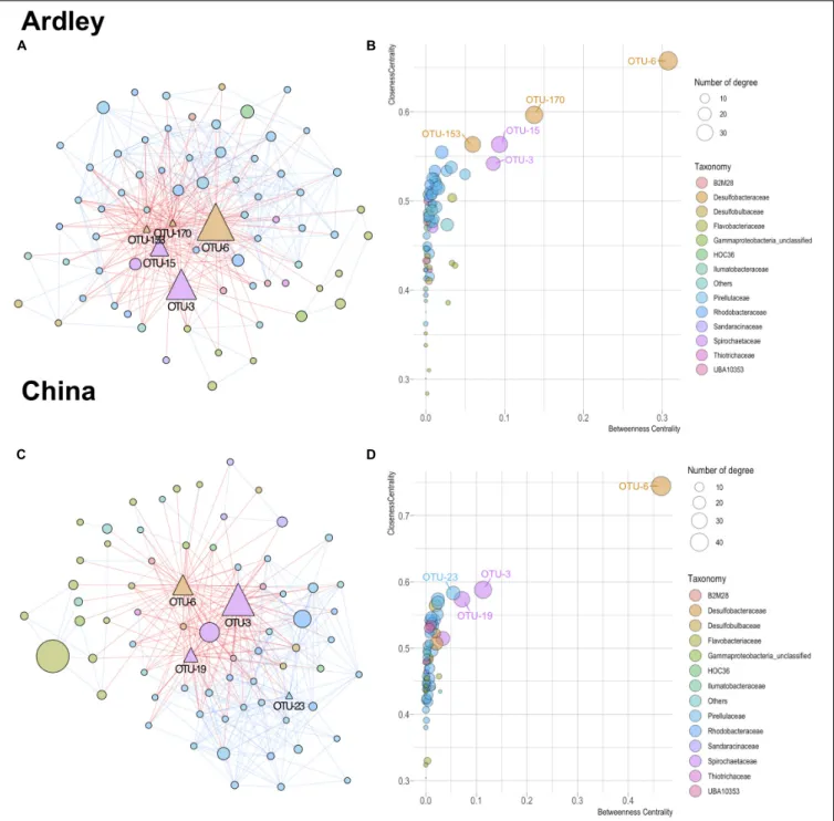 FIGURE 5 | Co-occurrence patterns of bacterial taxa from gut microbiota (content and tissue) of Abatus agassiizi, determined through Co-occurrence Network inference (CoNet v1.1.1) and analyzed using Cytoscape (v3.6.0)