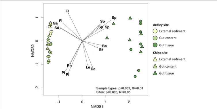 FIGURE 2 | Non-metric multidimensional scaling ordination of the bacterial community composition of the Abatus agassizii gut and external sediment microbiota.