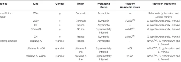 TABLE 1 | Isopod lines used in this study and their main characteristics: gender of studied animals, their origins, their symbiotic condition [asymbiotic, symbiotic (naturally or experimentally infected)], the Wolbachia strain that they harbor.