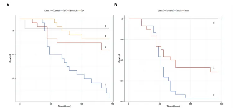 FIGURE 2 | Survival of the different A. vulgare lines when infected with S. typhimurium