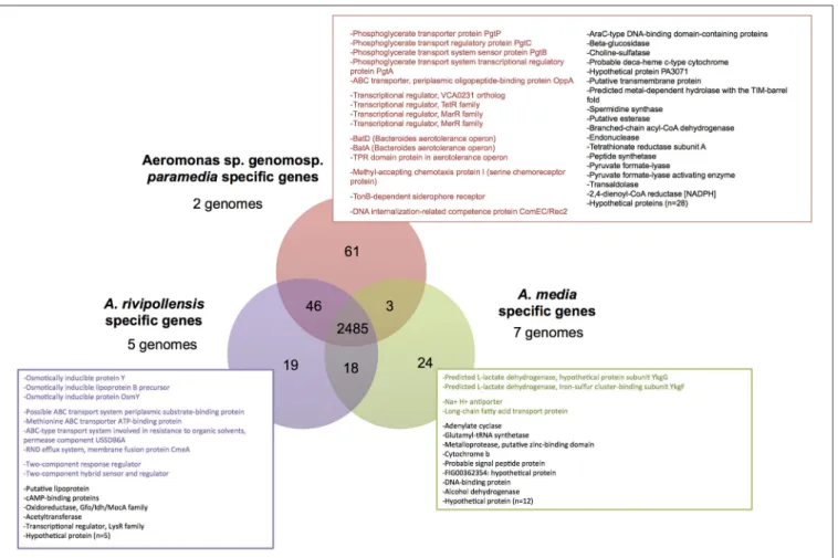 FIGURE 3 | Venn diagram representing the core-genome of Media species complex and lineage conserved core-genome