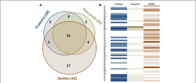 FIGURE 1 | Measurable virulence factor expression among the 51 clinical isolates of P