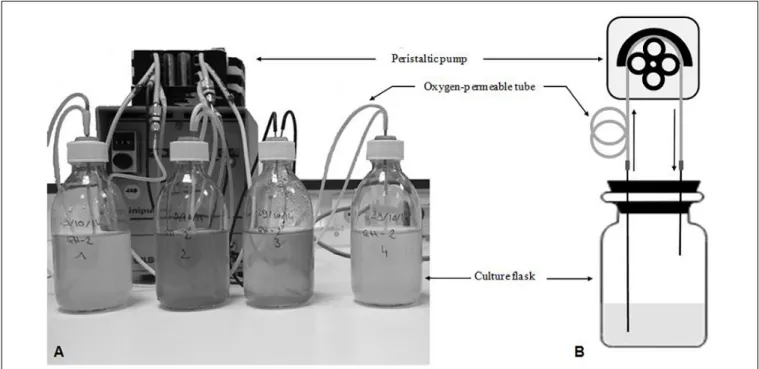 FIGURE 1 | The Micro Oxygenated Culture Device (MOCD). (A) Photo and (B) Drawing of operating principle