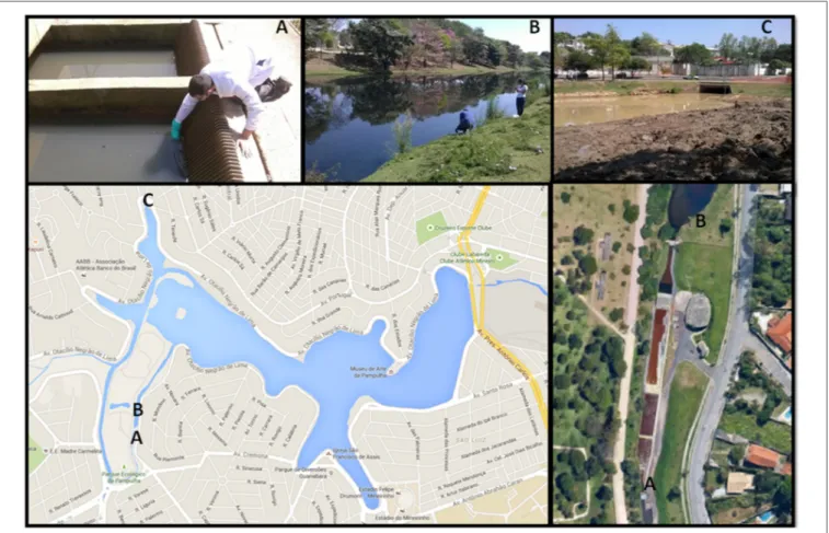 FIGURE 1 | Pictures from the three areas where the environmental samples were collected represented by letters (A–C)