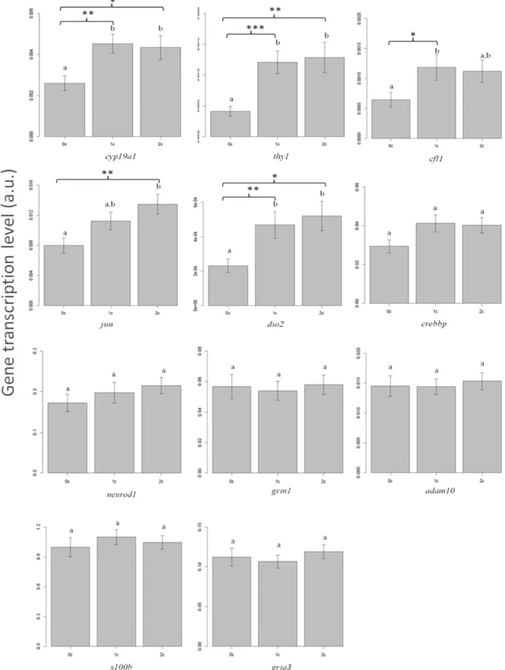 Fig. 3. Transcription level of genes in brain of all young eels sampled along a river on three successive forebays (0C, 1C, 2C) separated by dams after a two month period of common garden.