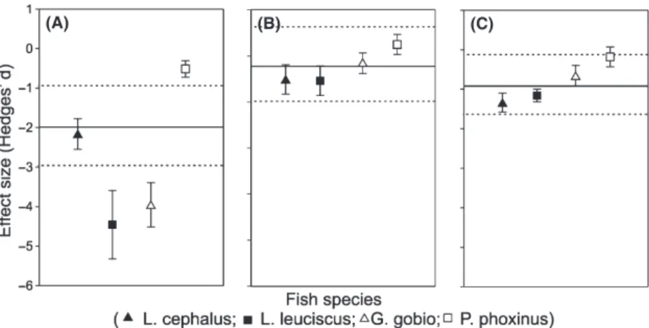 Figure 4 Effect sizes (measured as the Hedges’ d ratio) measured for each genetic indices [(A) allelic richness; (B) observed heterozygosity; (C) F st ] and for each of the four species studied independently (Leuciscus cephalus, Leuciscus leuciscus, Gobio 