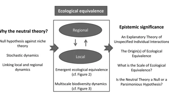 Figure 1.   Conceptual Diagram of the Present Paper, with Emphasis on the Central Ecological  Equivalence Assumption