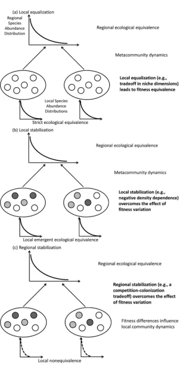 Figure 2.   Patterns and Spatial Scales of Ecological Equivalence