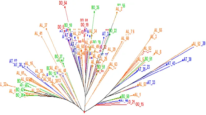 Figure  2.  Neighbour  joining  dendrogram  from  114  pearl  millet  accessions  obtained  from  the  UPGMA  method
