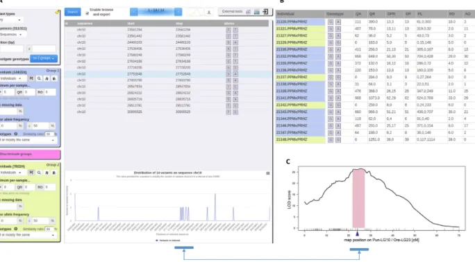 Figure 3: Discriminating variants. A, Filtering parameters and variant distribution. B, A discriminated variant’s genotype with complementary information (males in blue, females in yellow)