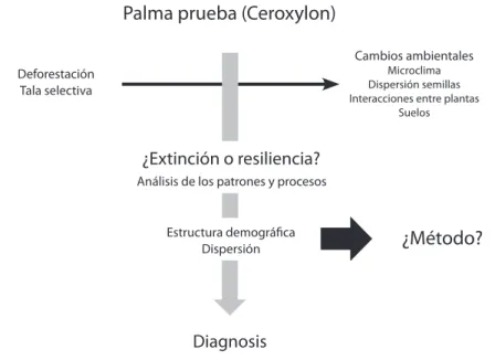 Figura 1. ¿Cuáles métodos son aplicados para analizar la resiliencia de las palmas frente a la  deforestación? Caso del género Ceroxylon.
