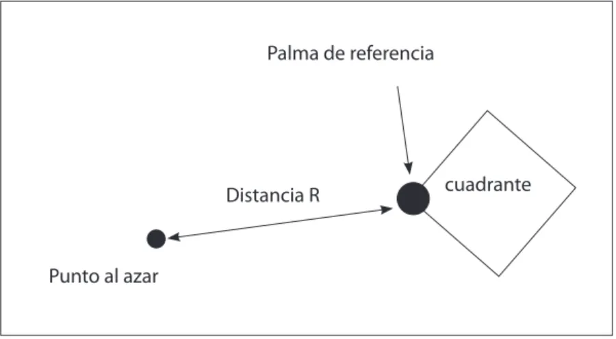 Figura 2. Método de establecimiento de las parcelas.