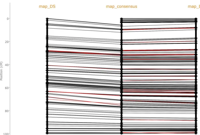 Fig 5. Screenshot of a comparison of three genetic maps of the 3A chromosome of durum wheat displayed by the Genetic Map Comparator