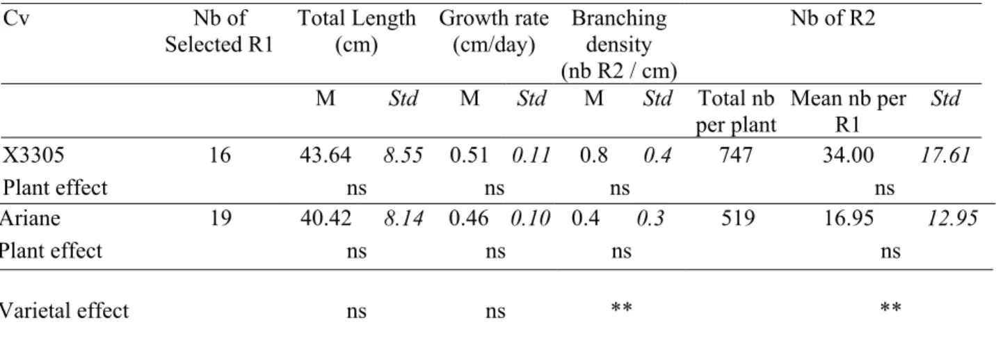 TABLE 2: Mean length, growth rate, branching density, and number of secondary  roots of a selection of primary roots (R1), which grew all over the observation period  (sixteen weeks after transfer from in vitro culture), on young ‘X3305’ and ‘Ariane’ 