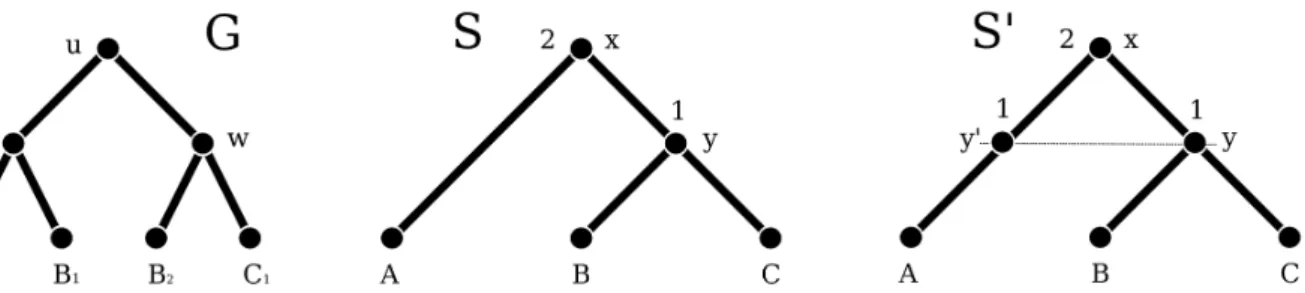 Figure 2. An example of reconciliation. Two valid reconciliations for the trees depicted in Figure 1 ( C events are not indicated)