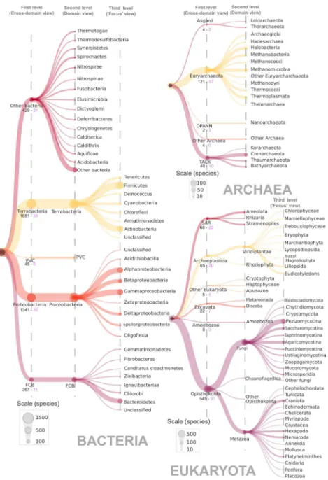 Figure 1. Taxonomic distribution of species represented in OrthoInspector. The domain trees are distributed  on three ‘levels’