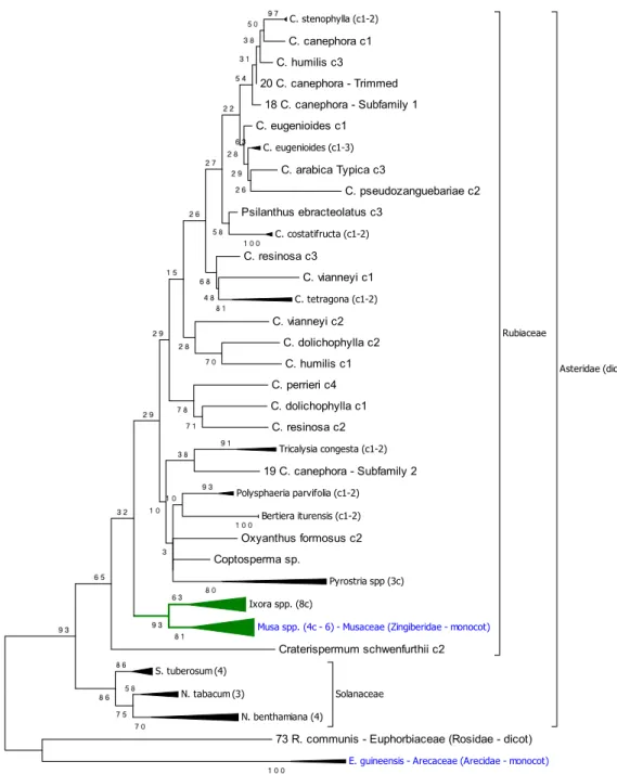 Fig.  4  Phylogenetic  analysis  of  Copia25  RT  domain  homologs. The phylogeny was  reconstructed  using  Maximum  Likelihood,  with  the  distance  corrected  by  Tamura   3-parameter, and 1000 replicates; the tree with the highest log likelihood (-473